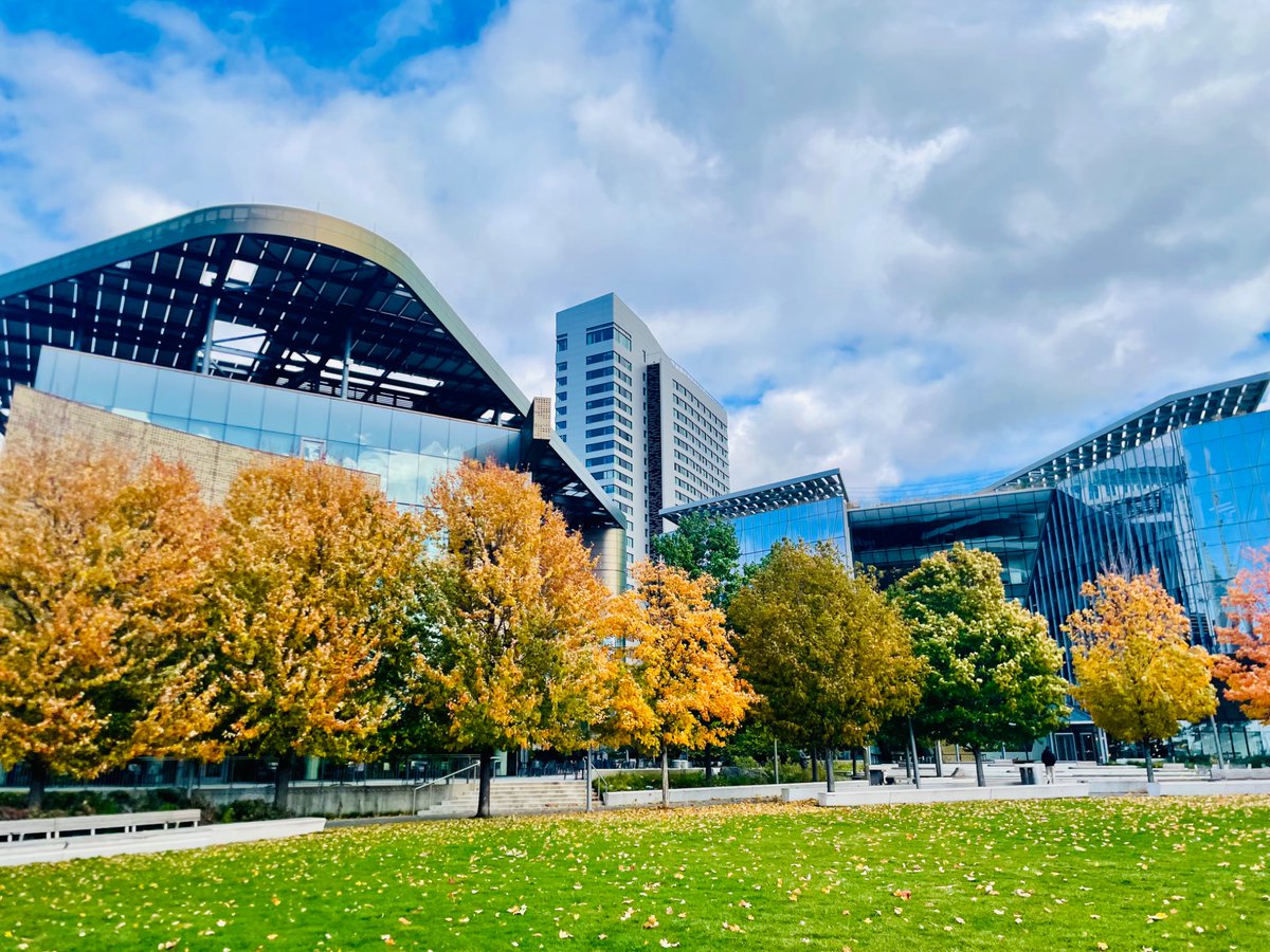 giladturok's tweet image. Autumn in NYC with views from @cornell_tech !