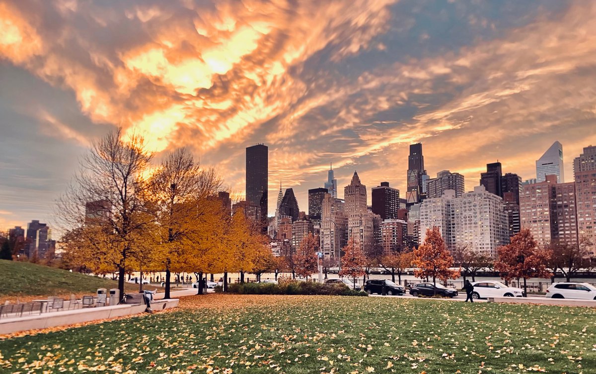 giladturok's tweet image. Autumn in NYC with views from @cornell_tech !