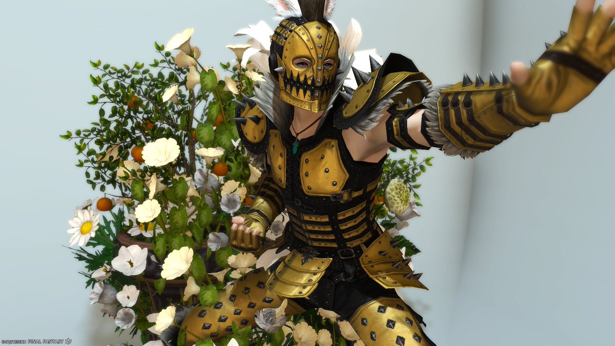 KBee322's tweet image. 41日目。

白い花と、蛮族。。。
遠いようで。。。。。

＃こん蛮は　＃FF14