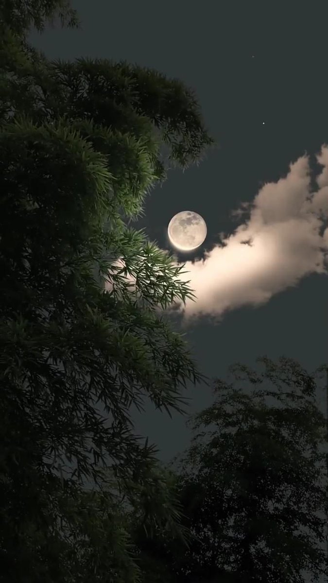 रात की खामोशी में चांद कुछ यूं मुस्कुरा रहा है, जैसे बादलों की ओट में कोई राज छुपा रहा है । पेड़ों की झुरमुट में झाकती उसकी चांदनी ,मन को सुकून दिल को सादगी सीखा रही है ।।।।।
।।शुभ रात्रि।।