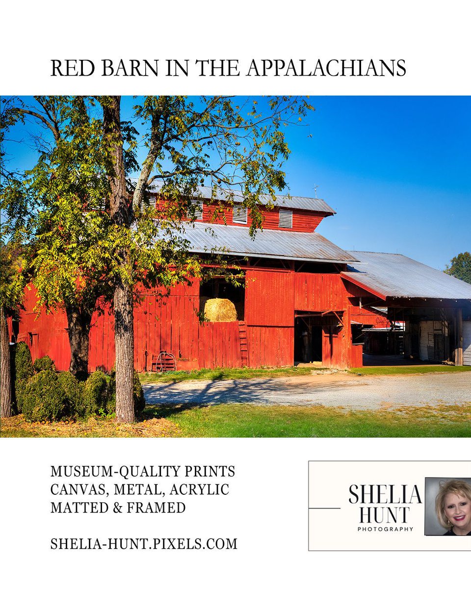 shelia_hunt's tweet photo. Historic Red Barn in the Appalachians.. Give the gift of art: https://t.co/cZCOrdlDnK 

#RedBarn #Appalachians #EastTennessee #SheliaHuntPhotography #BuyIntoArt https://t.co/lbai2HZyX8