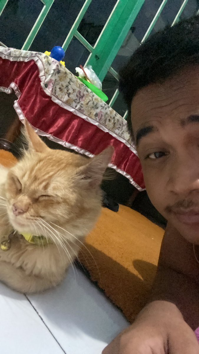 Sadboyy12312's tweet image. Mau kucingnya apa orangnya?😋

#cuddle #kucing #lucu
#surabaya #cogan #fyp