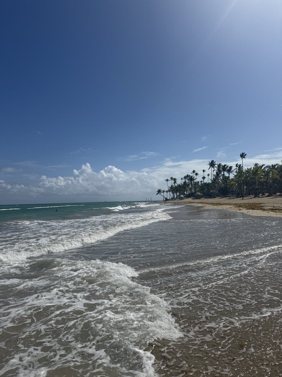 Ready for Steelers Sunday from the Dominican. 🏝️ #HereWeGo