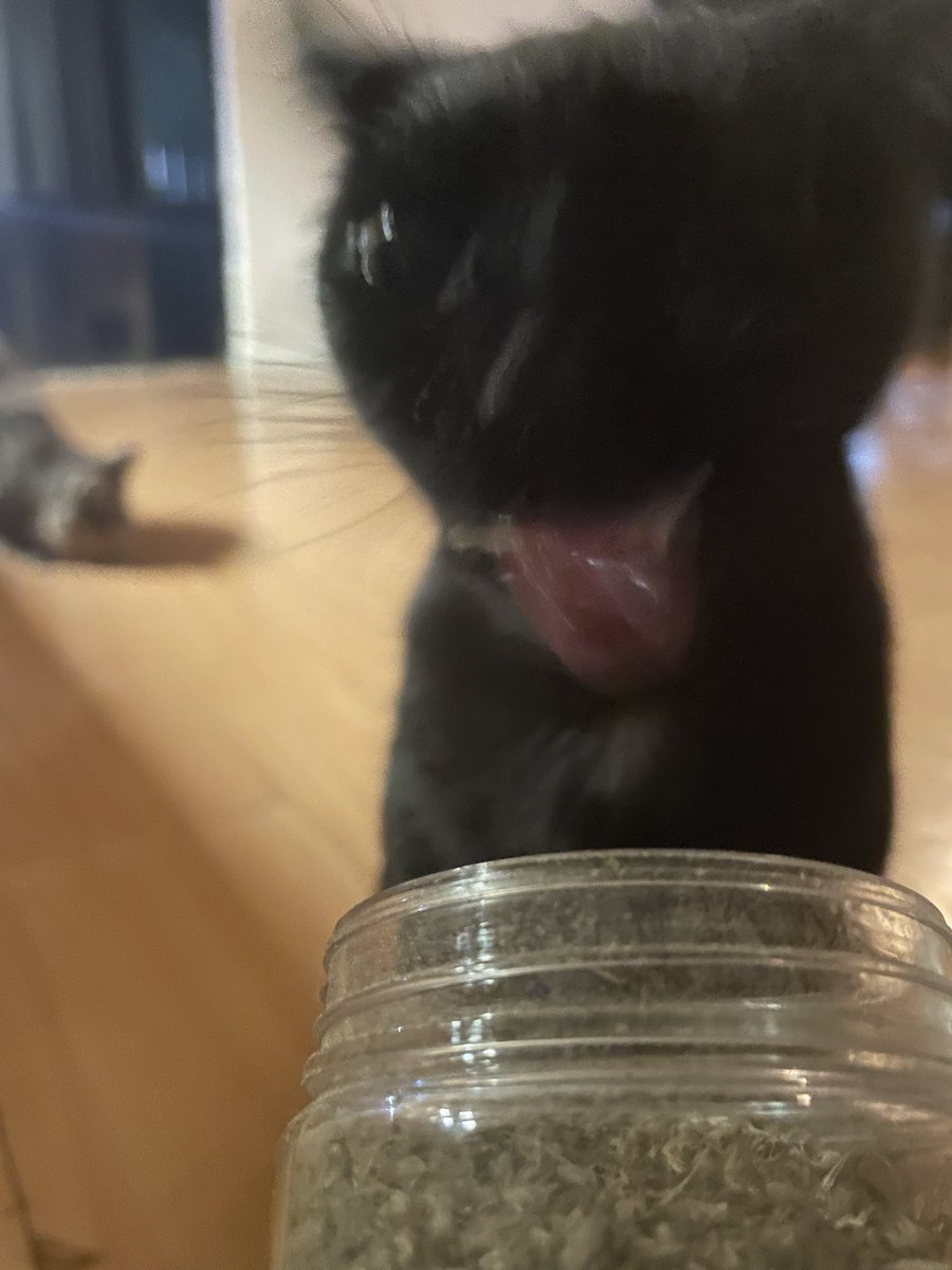 TooDiffizzle's tweet image. Nobody is more excited for the golden chest but Luna 

Twitch.tv/Diffizzle