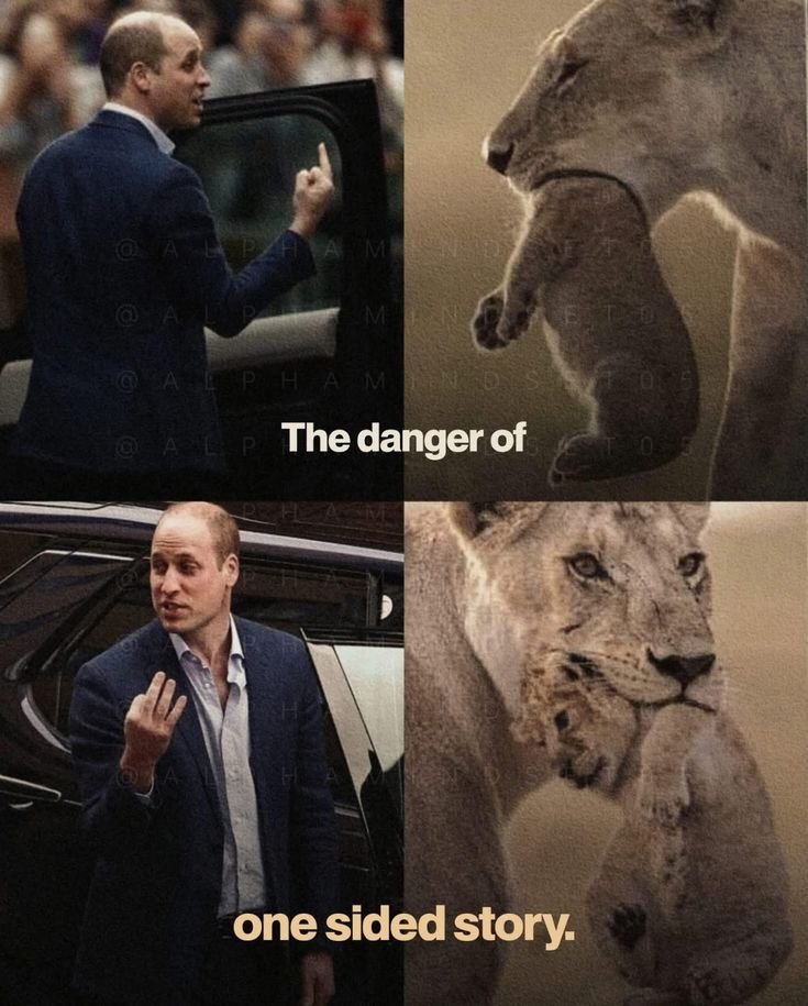 MindWisdomMoney's tweet image. 