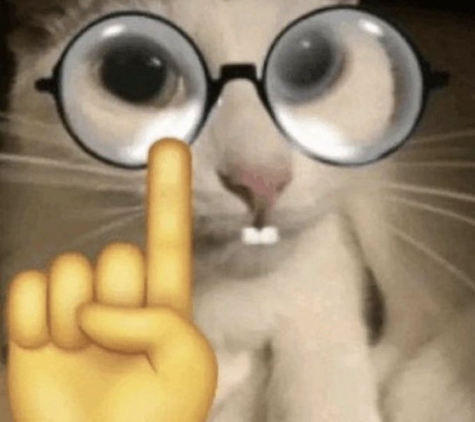 Everyone left in crypto is one of these guys