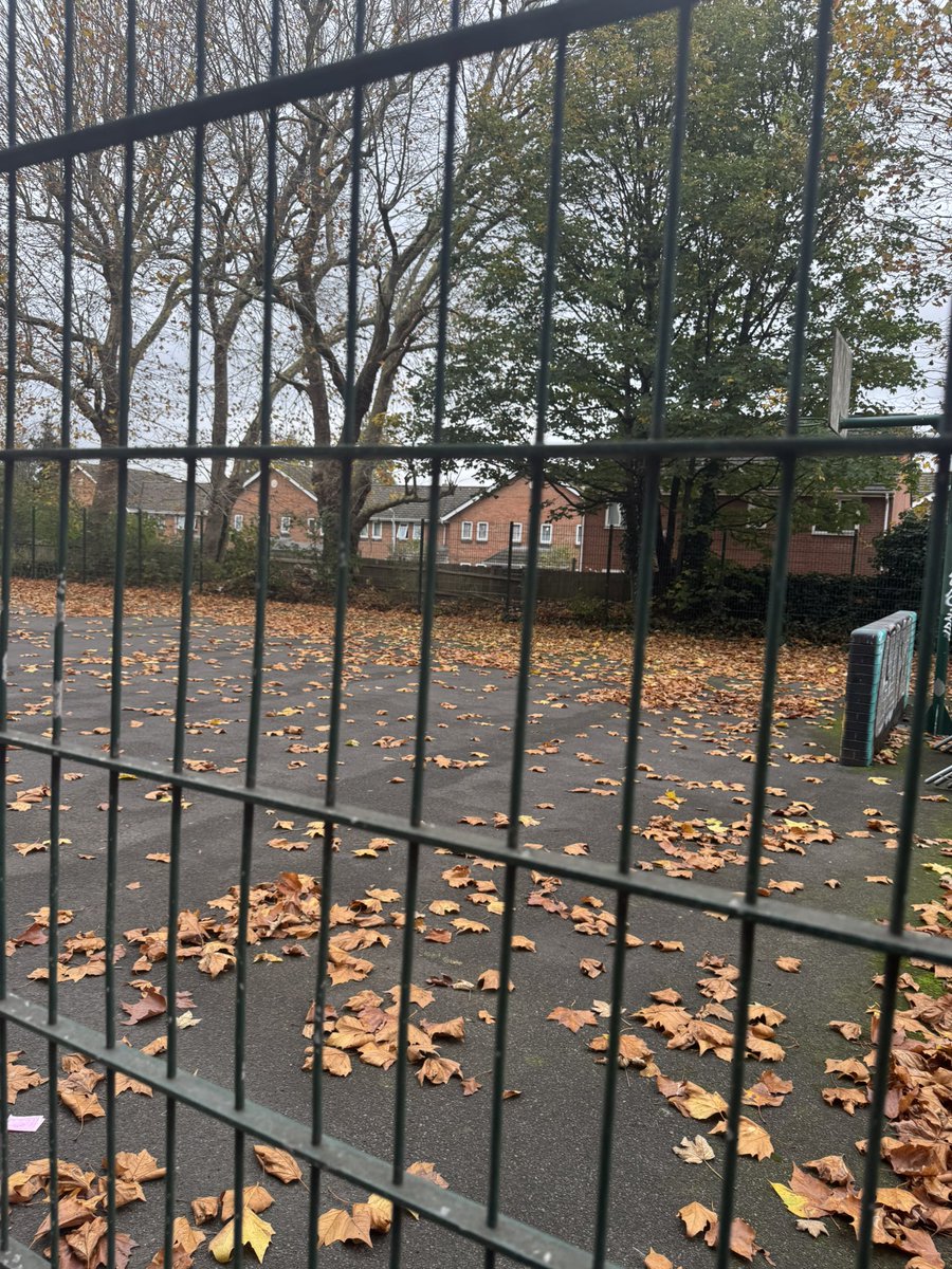 KingGary1234's tweet image. Can confirm the political prisoners have been freed