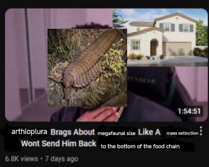 shadoo🪲🇵🇸(silly creature enjoyer) (@shadoocreature) on Twitter photo 