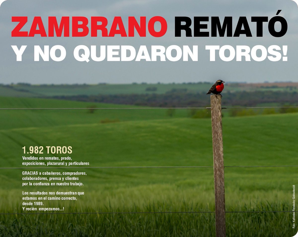 🔥 Zafra 2025: una historia de confianza, esfuerzo y resultados.

Cerramos una temporada única, con más de 1.900 toros vendidos y un sentimiento que no se compra: la confianza.

Gracias a las cabañas que apostaron, a los compradores que eligieron, a los clientes y amigos que