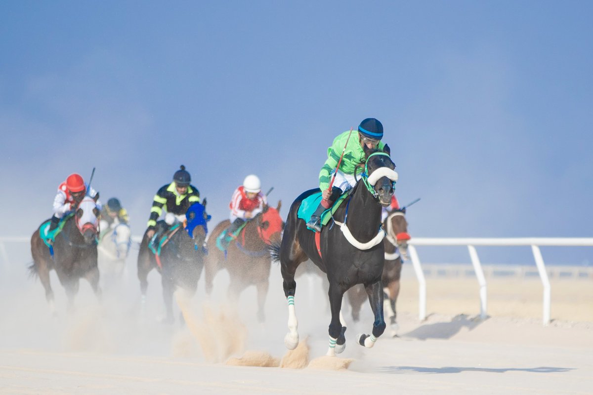 أبراهام تـألق وكسب الشوط الثاني 🏇

بقيادة الفارس مشاري العيسى 🎖️

#ميدان_فروسية_حفرالباطن