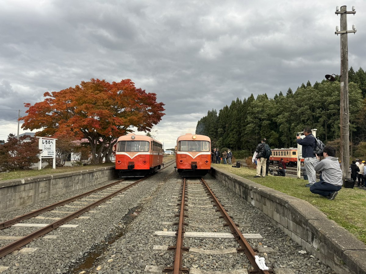 ゆきんこ0761様ページ ゆきんこ0761様ページ ゆきんこ0761様ページ ゆきんこ0761様ページ