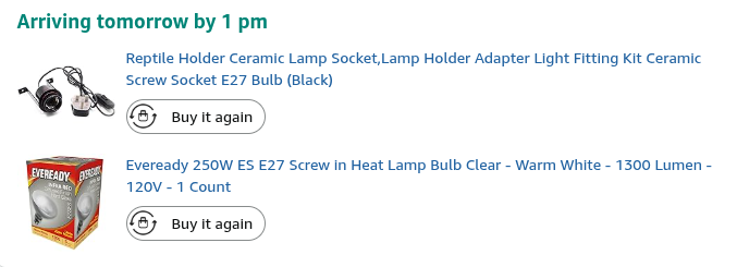 StareAtCode247's tweet image. It&apos;s time to lizardmax in this dark winter