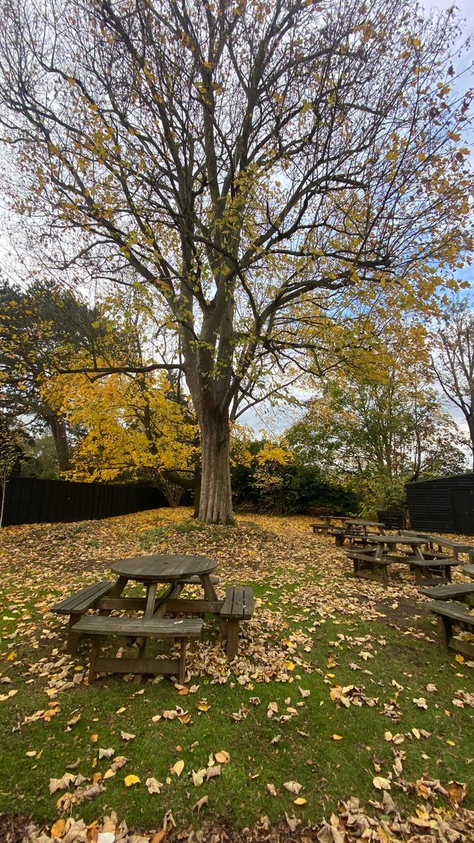What a fantastic week with the children &amp; staff from <a href="/JohnScurr_Sch/">John Scurr Primary School</a> ! 🌞🍂

Perfect warm autumn days for campfire cooking 🔥, cycling 🚴‍♀️ &amp; archery 🏹.

Thanks for visiting us at Gorsefield — come back soon! 🌳💚

#OutdoorLearning #SchoolTrip #AutumnAdventures #LoveGorsefield