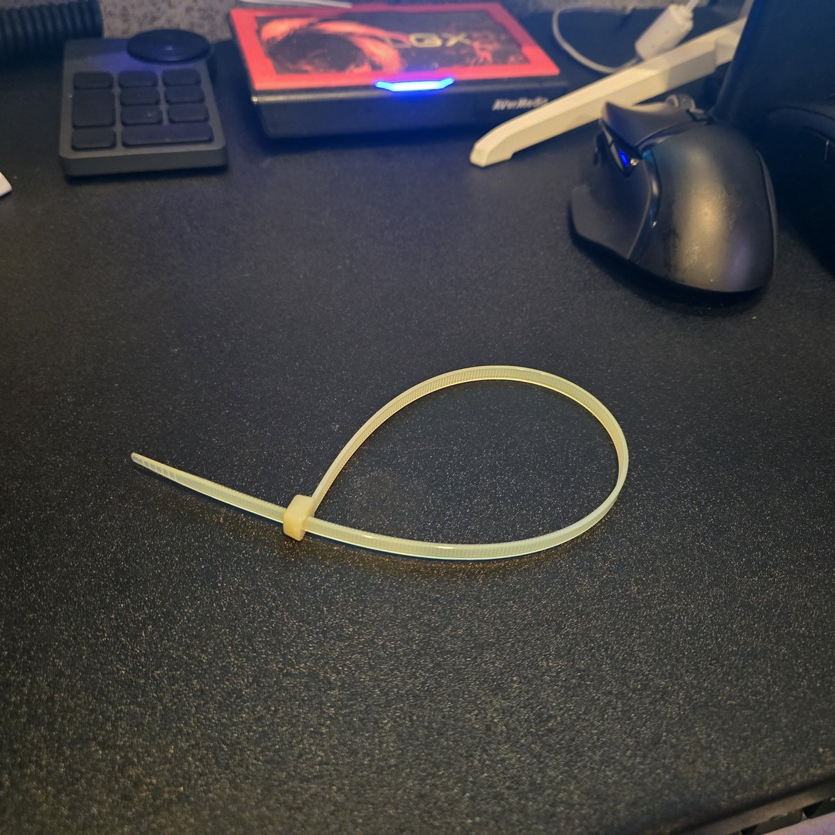 しいしぃ 🦖▿ on X