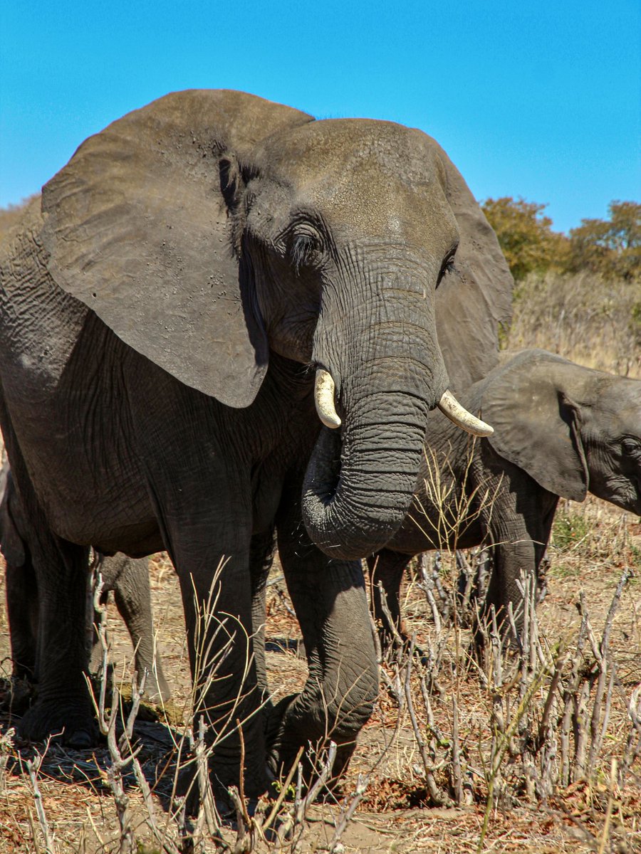 L’Afrique c’était cool aussi 🌍