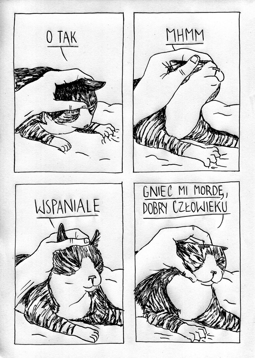 SmutneHistorie's tweet image. gniotek. #satyra #weekendowazofka #kot #zofia #mordo
