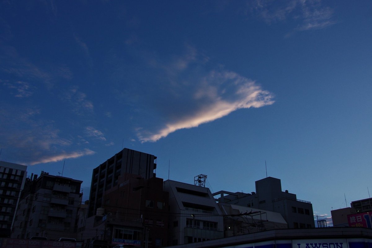 huerumegane's tweet image. 