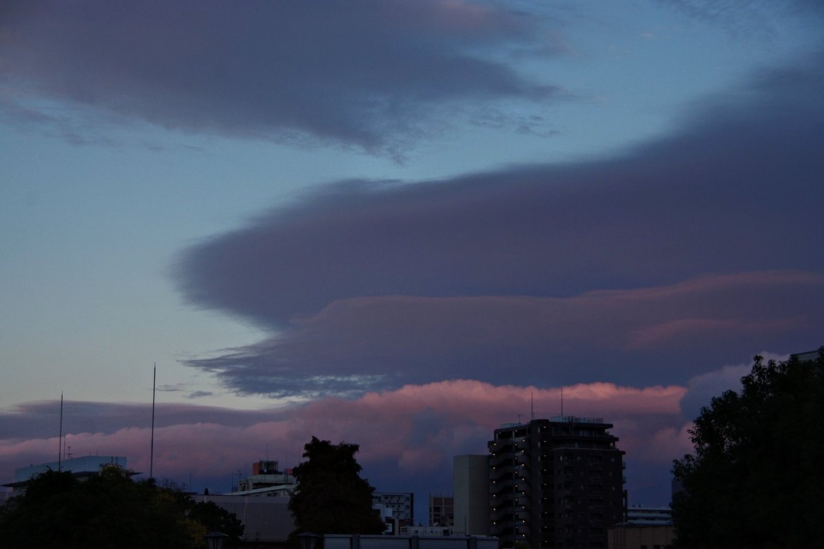 huerumegane's tweet image. 