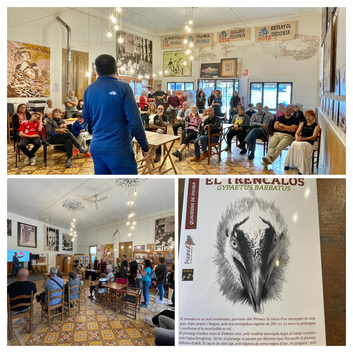 Recordeu que l’exposició fotogràfica “EL TRENCALÒS”estarà oberta durant els mesos de novembre i desembre. No perdeu l’oportunitat de veure-la: el #trencalòs, ocell majestuós del #Pirineu, us mostrarà la bellesa i la força del nostre patrimoni natural.