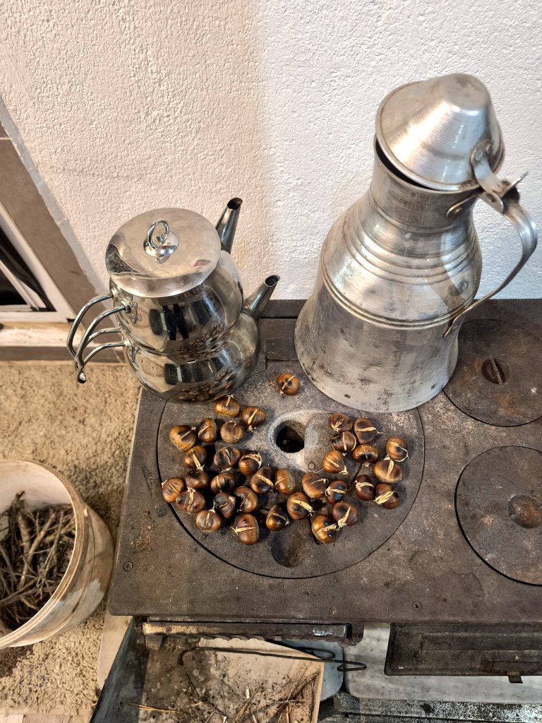 Kestane sezonu açılmıştır 🤚