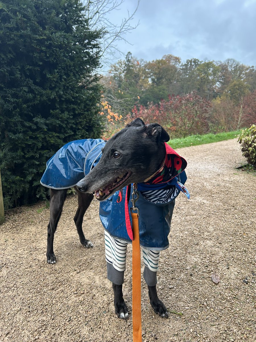 Duke 💙 tweet media