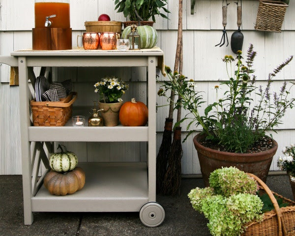 AllBackyardFun's tweet image. 🍂 Bring your fall gatherings outdoors with the POLYWOOD® Bar Cart — stylish, sustainable, and perfect for entertaining all season long!

#AllBackyardFun #OutdoorLiving #PolywoodStyle #FallDecor
