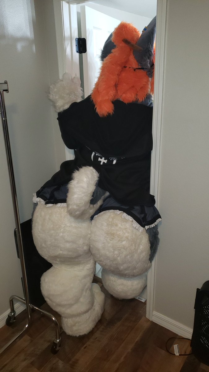 nicole_garani's tweet photo. ON TODAYS EPISODE OF "I DON'T FIT IN MY ROOM BECAUSE OF YOU" no, seriously, I blame you dorks and your lunch I keep stealing🍖🍕💕. Worship and give your goddess more 💕
#fursuit #gothgf #furry #stuckindoor #BigGirlFall https://t.co/ziknuWRaO7