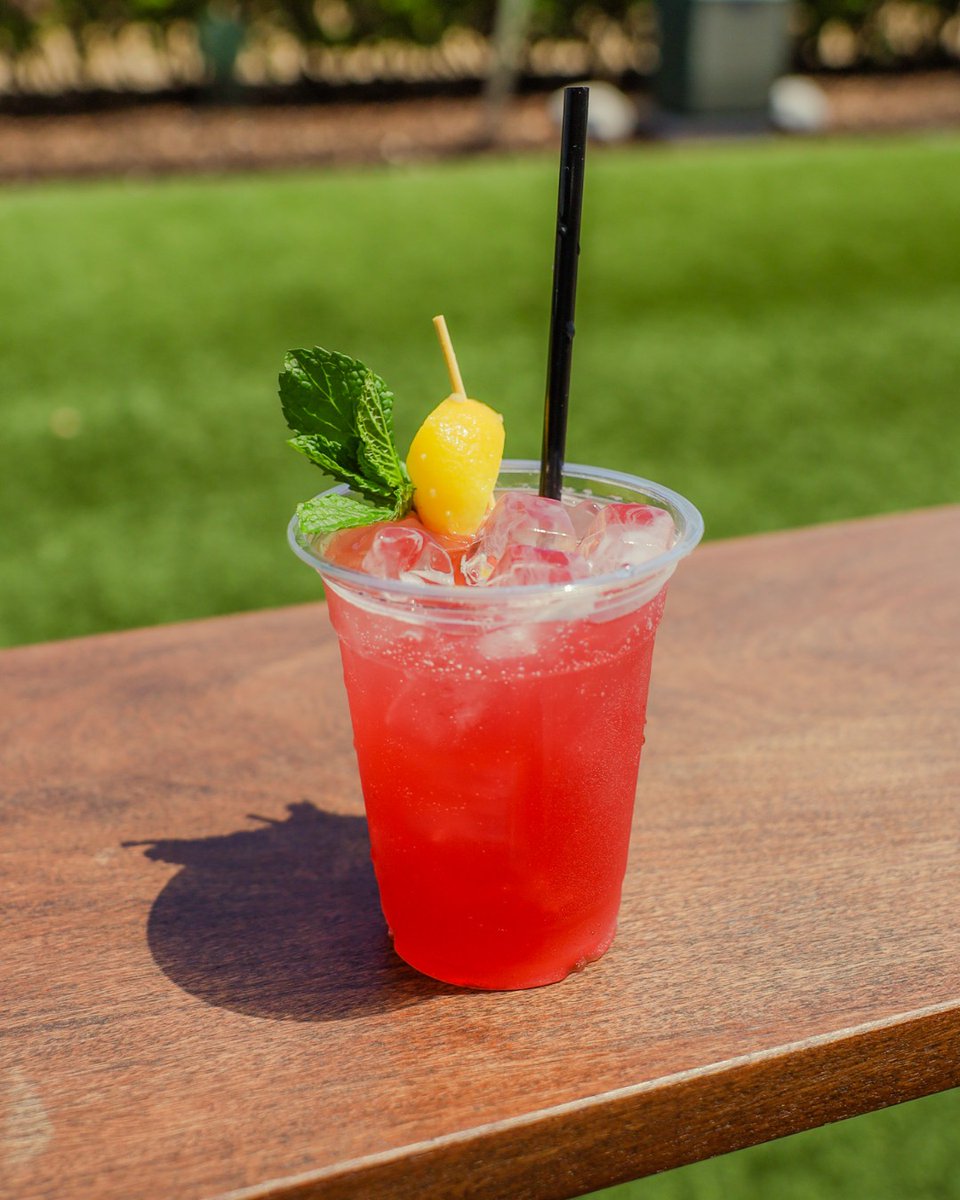 CarouselClb's tweet image. Feel the breeze, place your bets, and toast to a day that just keeps getting better 🐎🥂