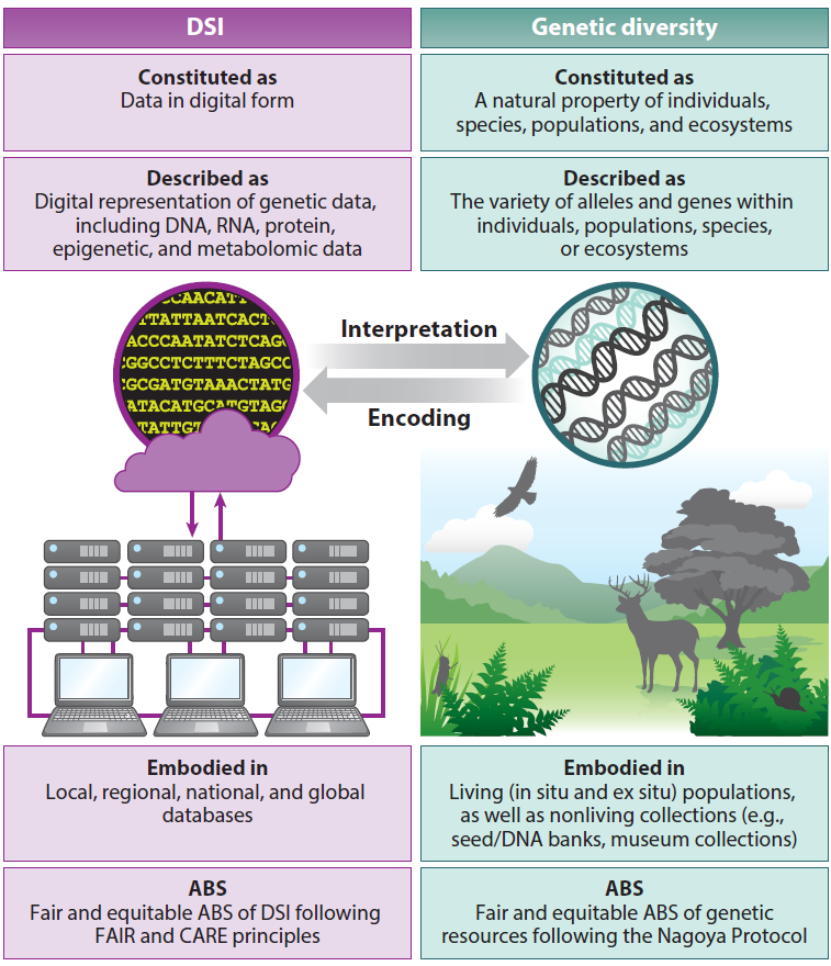 Dr. Laura Bertola tweet media