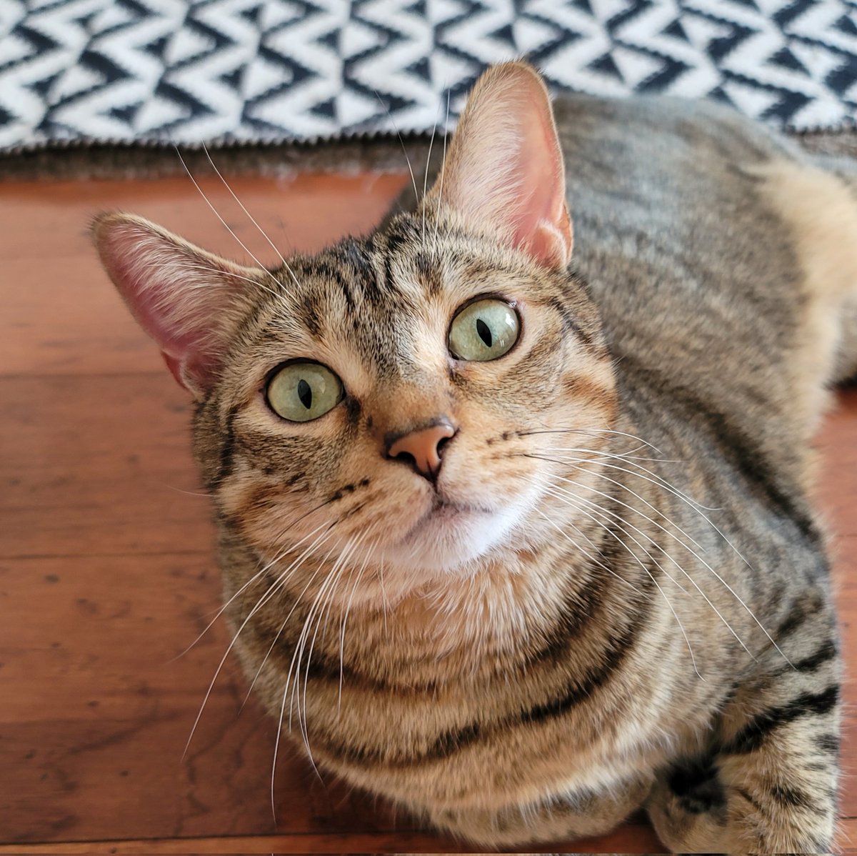 JRMontarbo's tweet image. Happy Sunday, everyone!🌞 
Have a great day, and be inspired!🙌

#Pip
#BeBlessed 
✌️❤️🙏