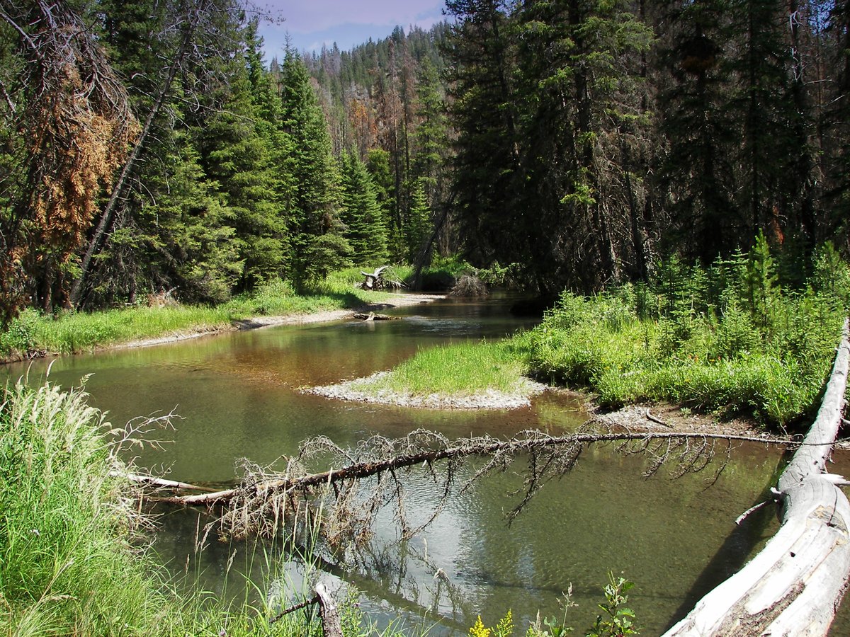 Peace captured in a single frame. Do you have one too