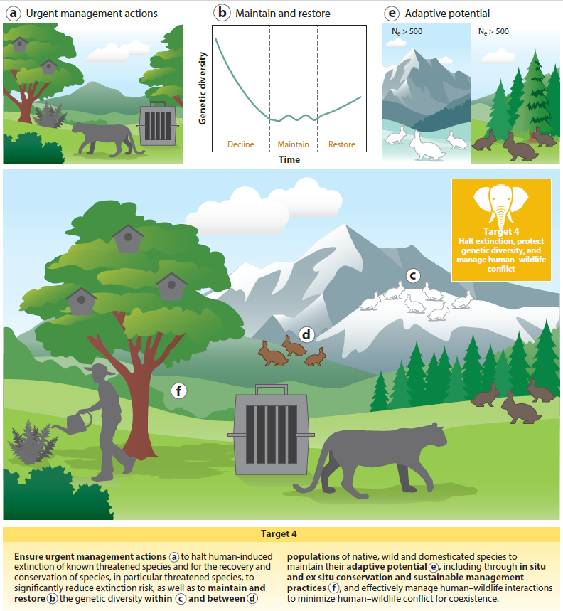 Dr. Laura Bertola tweet media