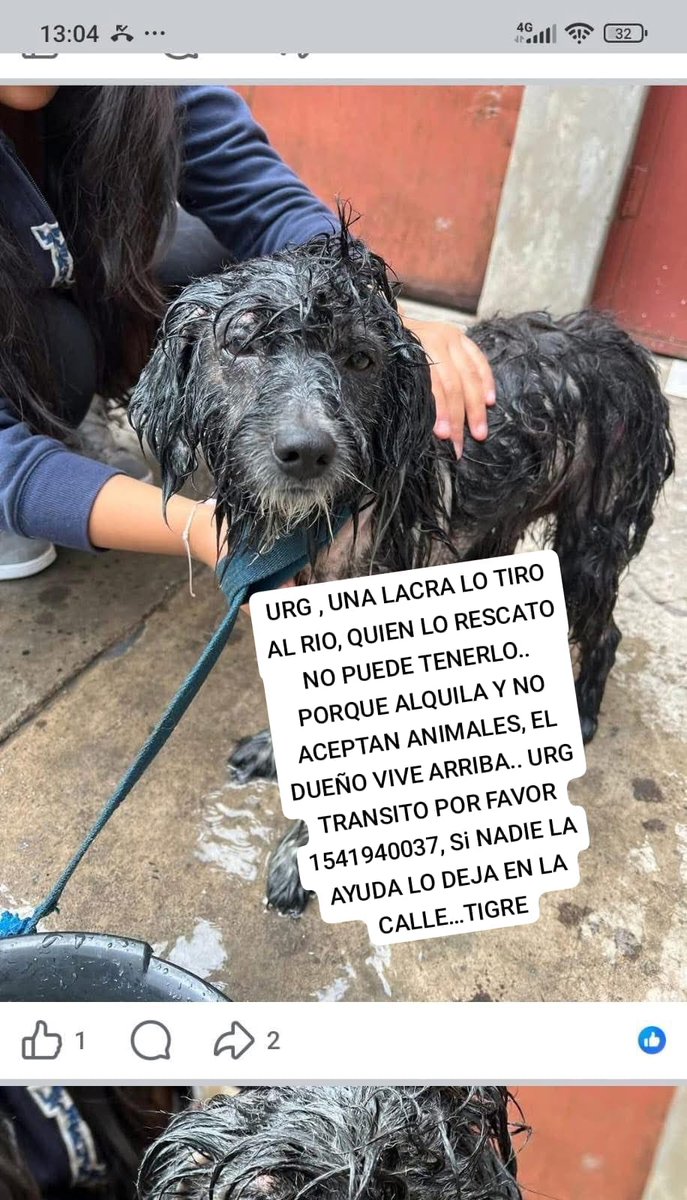 Rt
Hay que ser hdp