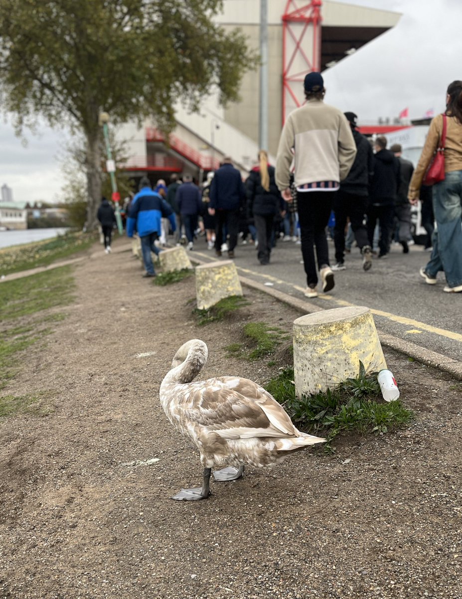 Game no.19: Forest 3-1 Leeds