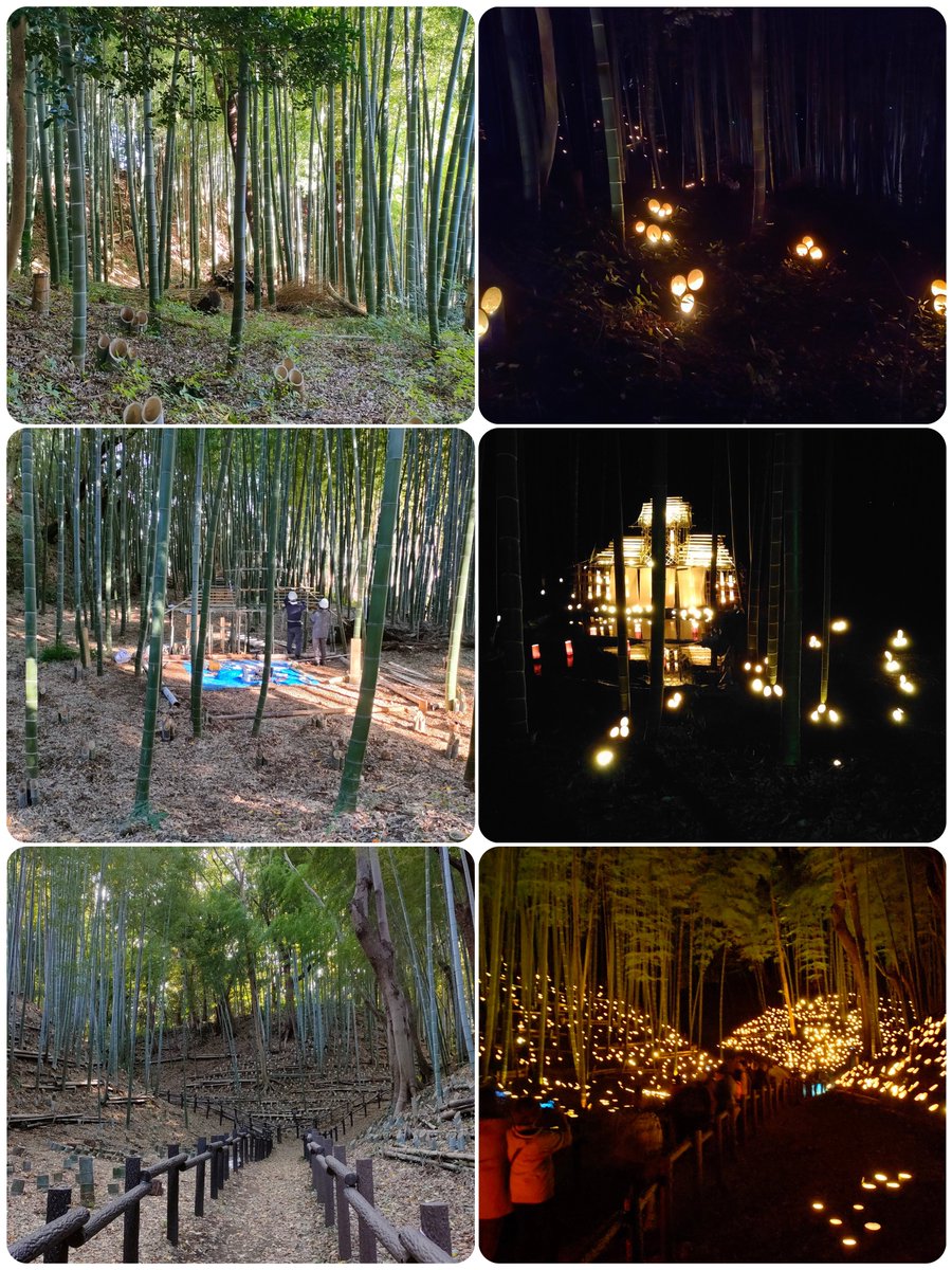 火曜日のよもぎ🍡 tweet media