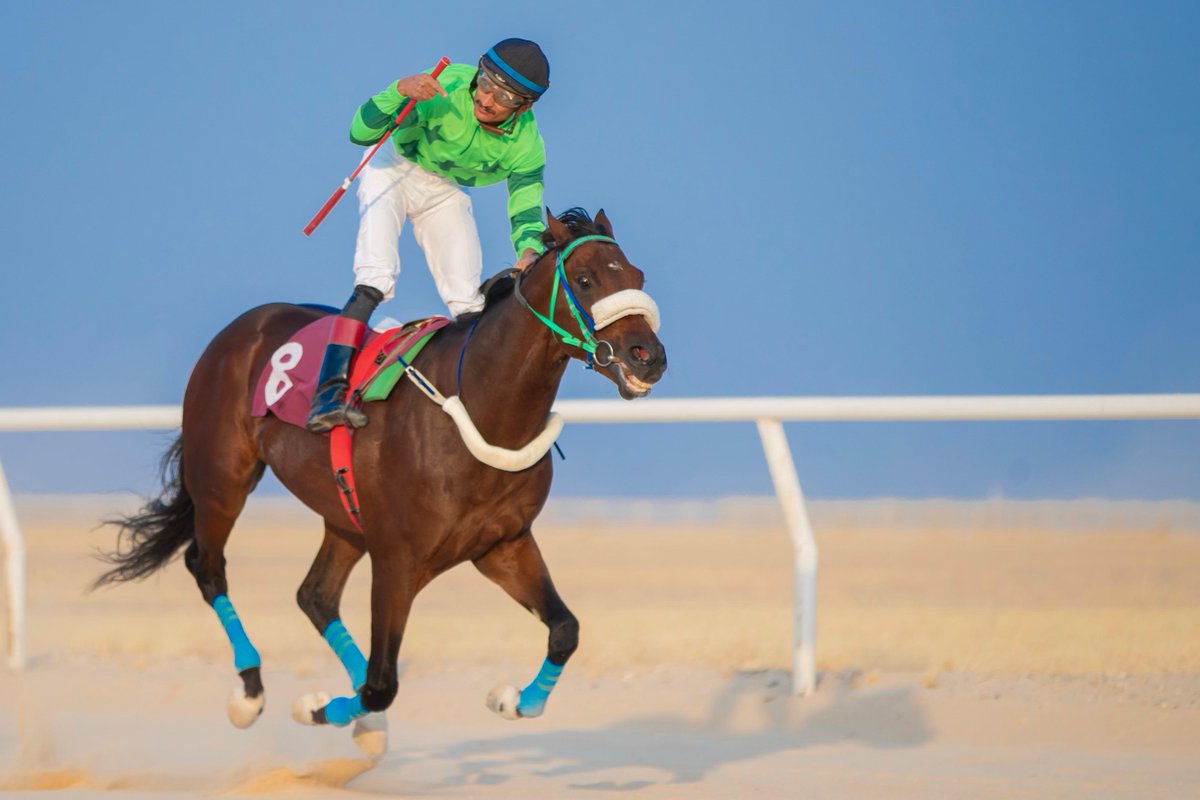 بلوشان فعلها بجدارة  🐎
والخيّال مشاري العيسى يسجل الفوز الثاني بنفس الحفل 👏🏻

#ميدان_فروسية_حفرالباطن