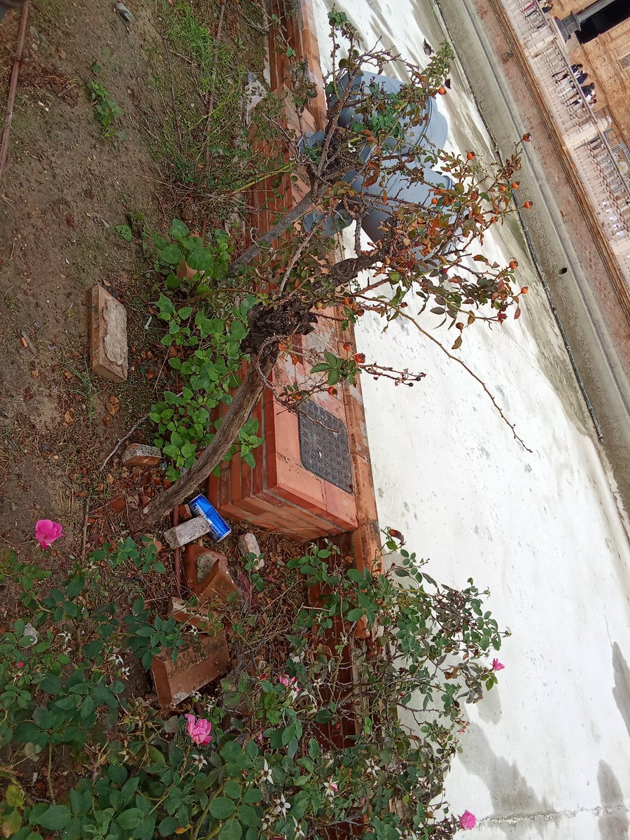 MartaGuadalupe's tweet image. #Plazaespañadesevilla  la plaza de Sevilla sigue VACÍO,SIN AGUA,hasta cuando el mantenimiento? La plaza goza de una depuradora y un sistema q no debe de funcionar correctamente, muéstrenme a ver xnd se ha vaciado la ria tantísimos días..Icónica no tiene na q ver con esto, ..