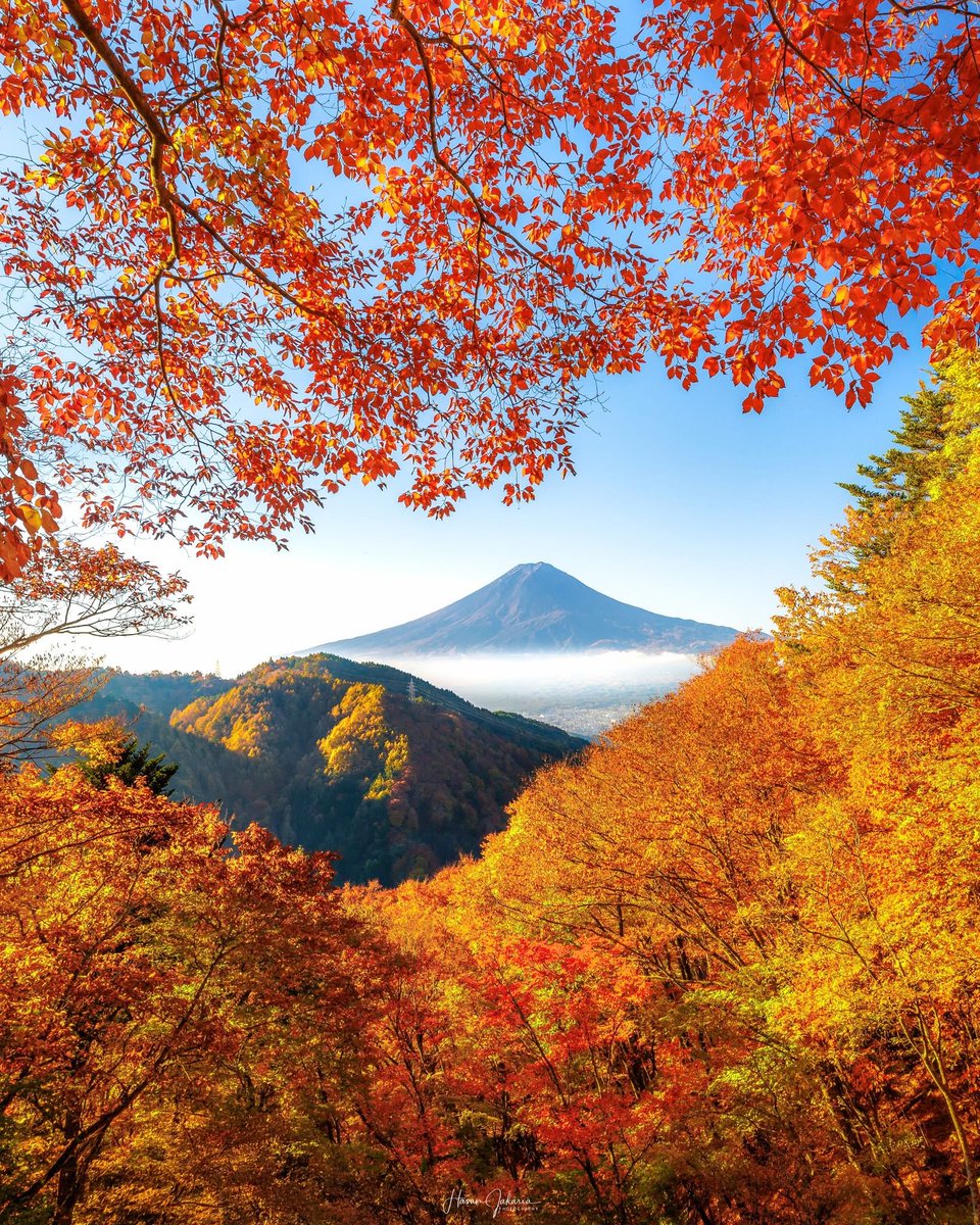 皆さん、おはようございます😸
今週も✨よろしくお願いします
雨上がりですが肌寒いですね💦
良い一日をお過ごし下さい‼️