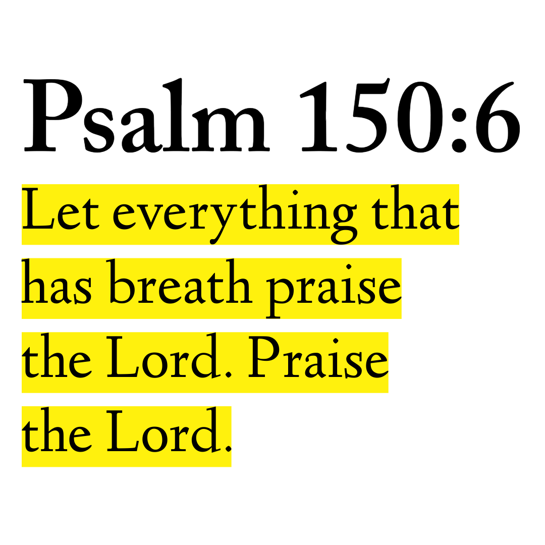 Holy Bible (@holybibleposts) on Twitter photo 