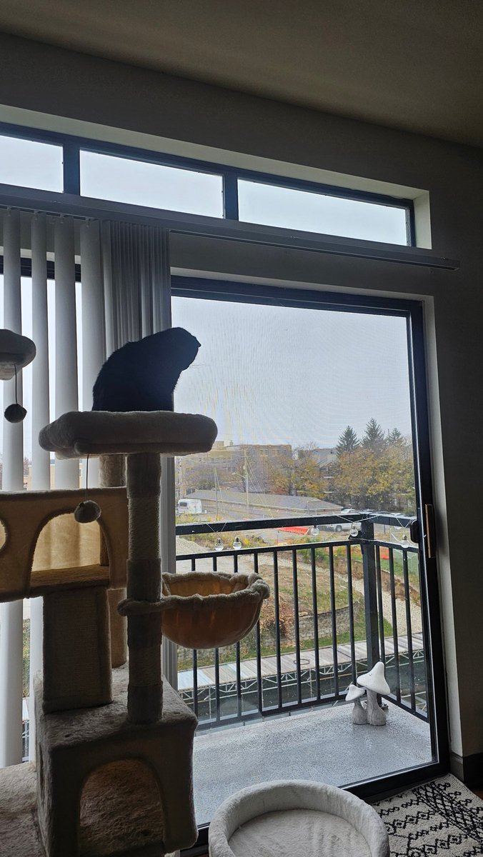 My spoiled son looks down on the first snow of the season