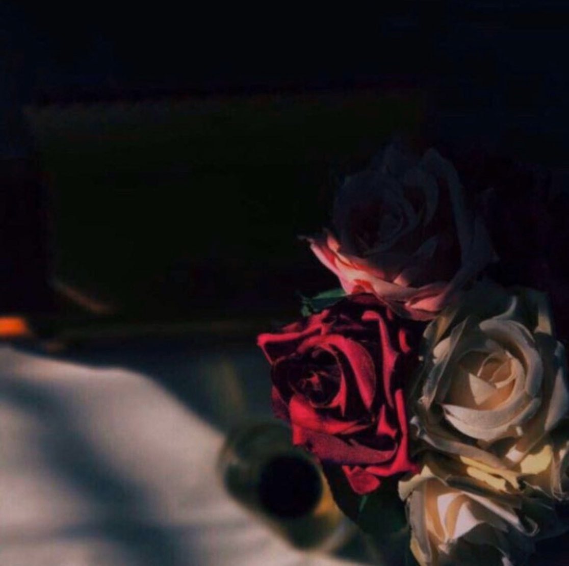 l6_uz's tweet image. لم اتمنى الانتصار على أحد ، 

تعلّمت مُنذ زمن ، انّ الأنتصار الحقيقي هو أن لانُوذي مشاعر من نُحب …