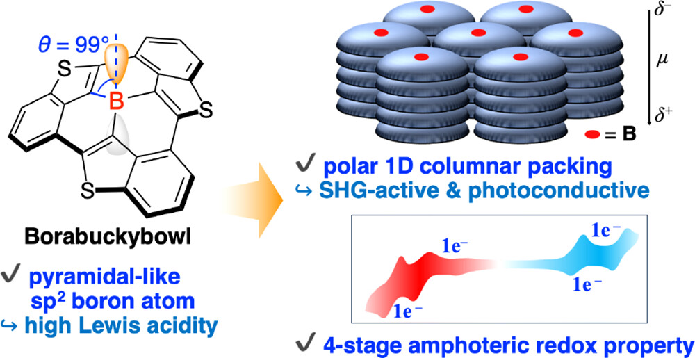 C3-Symmetric Borabuckybowl Featuring a Pyramidal-like sp2 Boron Atom for Advanced Electronics and Optical Functions (<a href="/J_A_C_S/">J. Am. Chem. Soc.</a>): pubs.acs.org/doi/10.1021/ja….
