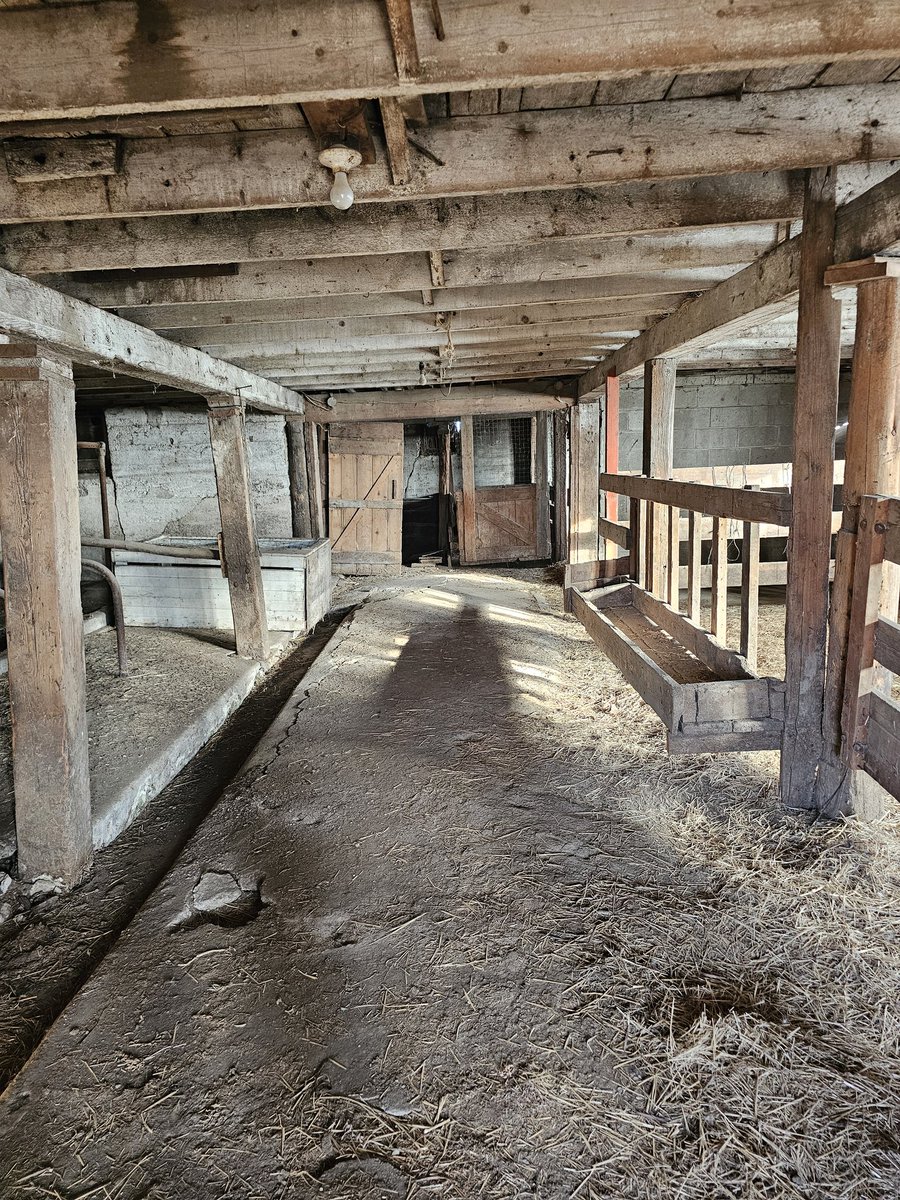 Barn move is scheduled for the first of December. While I think it's sad this beautiful yard that has so much history will soon become city development full of cookie cutter houses I'm so excited a part of it will continue on with our family instead of being torn down. The