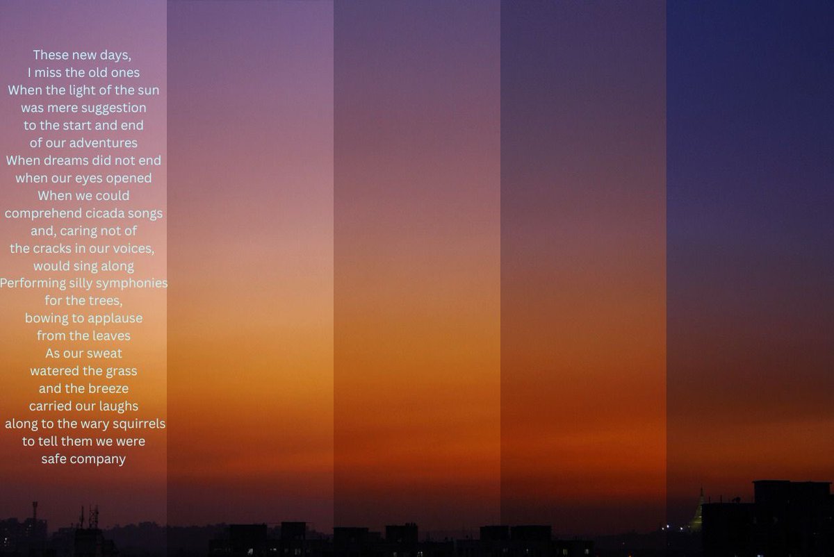 Josh Brady tweet media