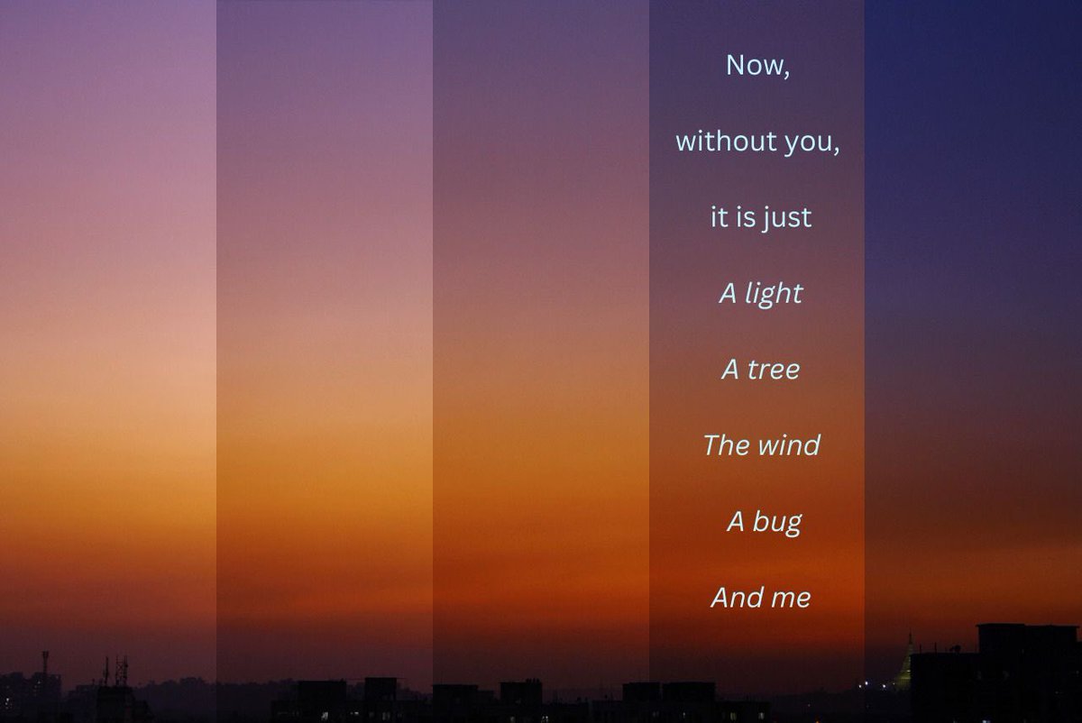 Josh Brady tweet media