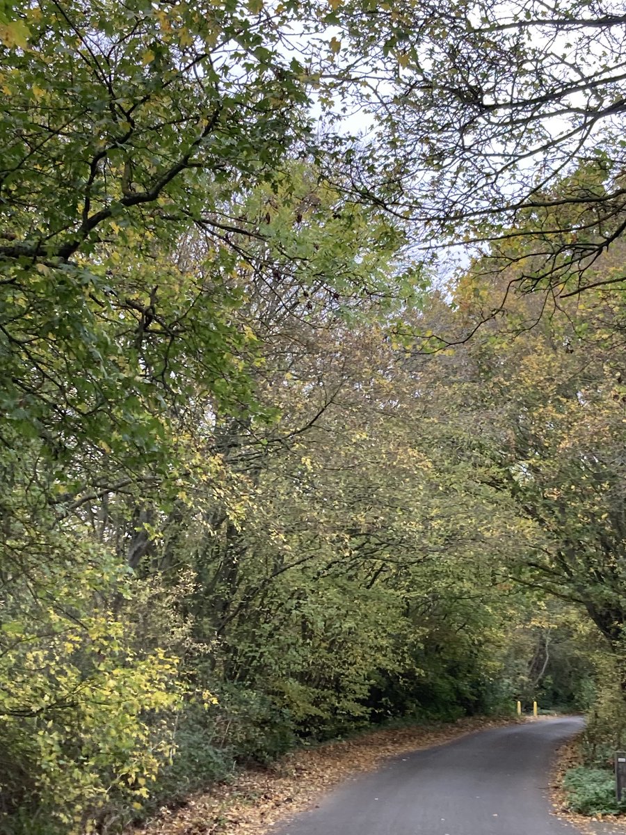 APegrum's tweet photo. 12miles by foot or bicycle plus the usual Pilates class for #NHS1000miles. YTD 828miles https://t.co/DBLAiE26kw