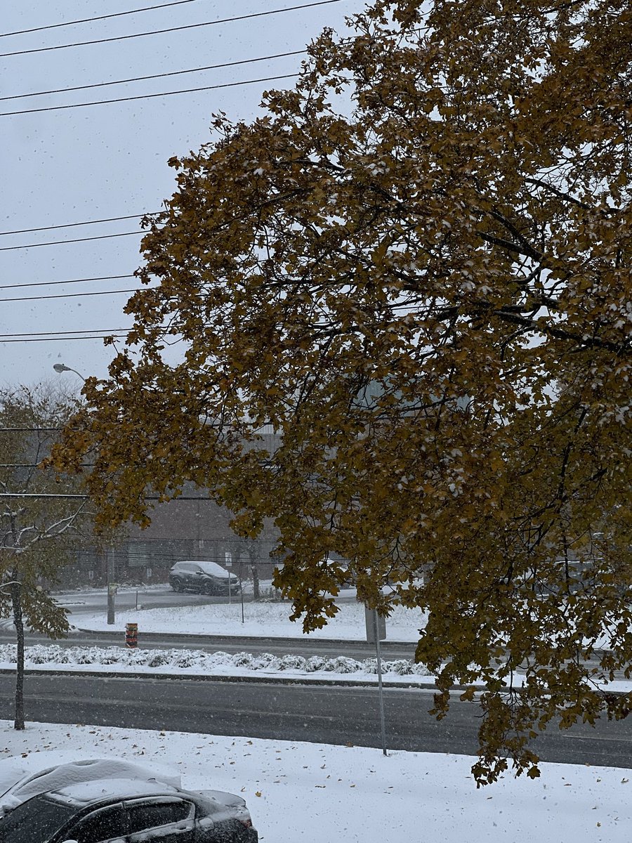 __hilaalh's tweet image. Oh, how I’ve missed Canadian winters 😅