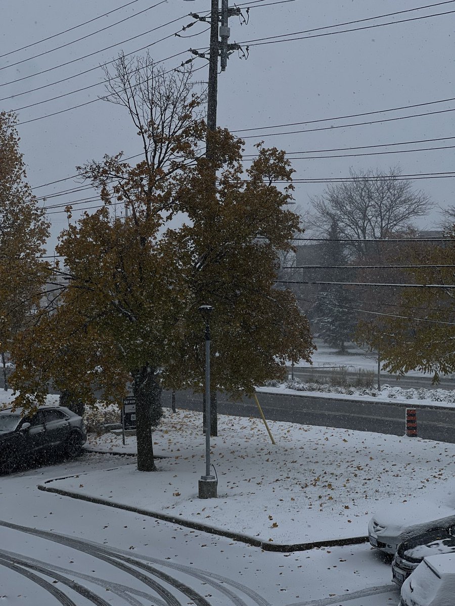 __hilaalh's tweet image. Oh, how I’ve missed Canadian winters 😅