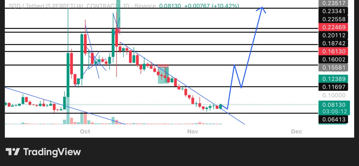 nobodyxtc's tweet image. $SQD Bottom in for this
If we hold daily above this level we can expect a good move towards 0.2 good for spot bids invalidation would be daily close below 0.06