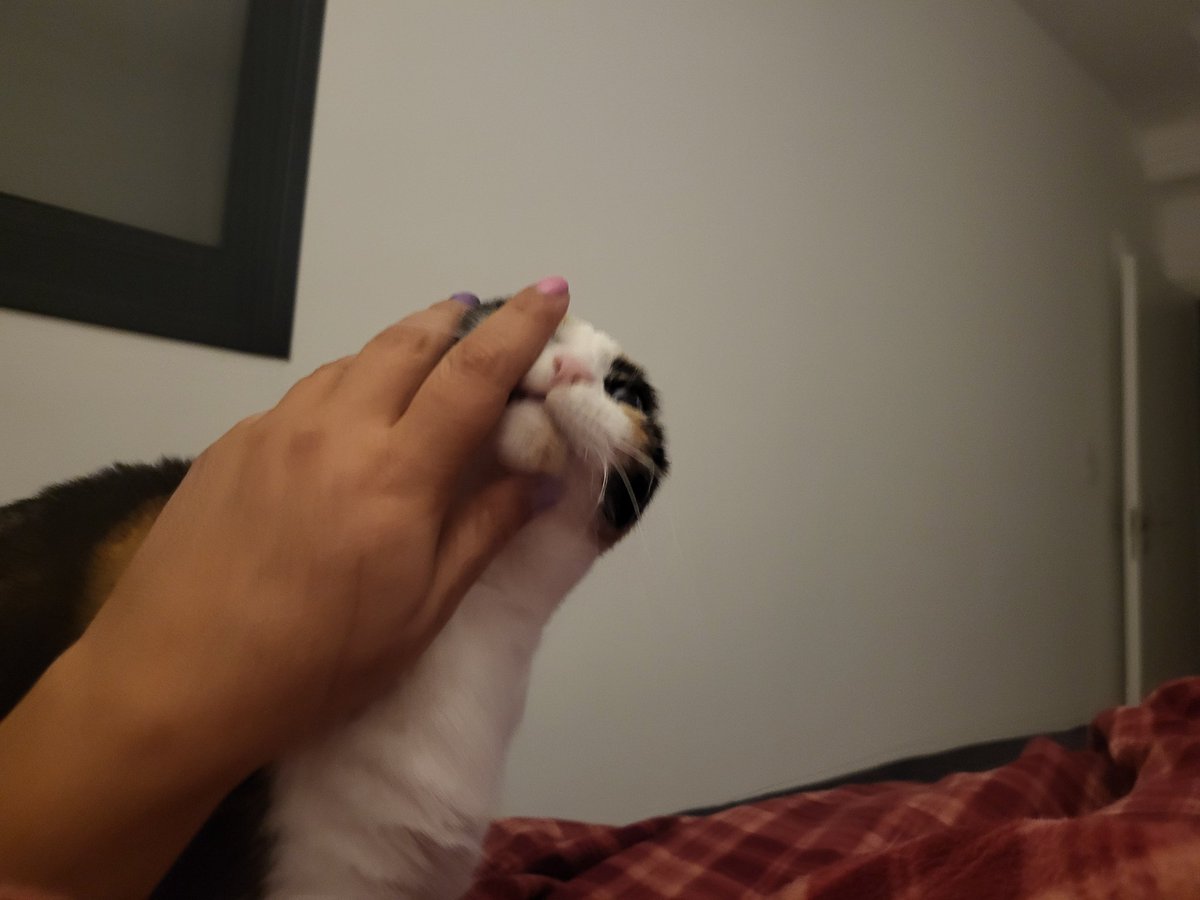 spaghetti_ts's tweet image. לינלה צח ורך בת אנוש
לינטוף או כרישוף?